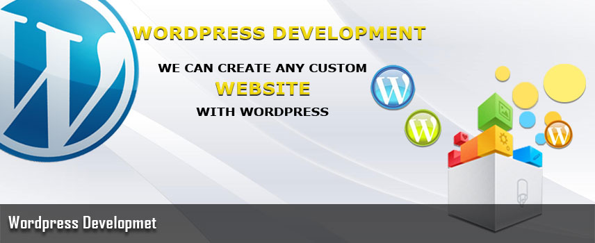Wordpress Development